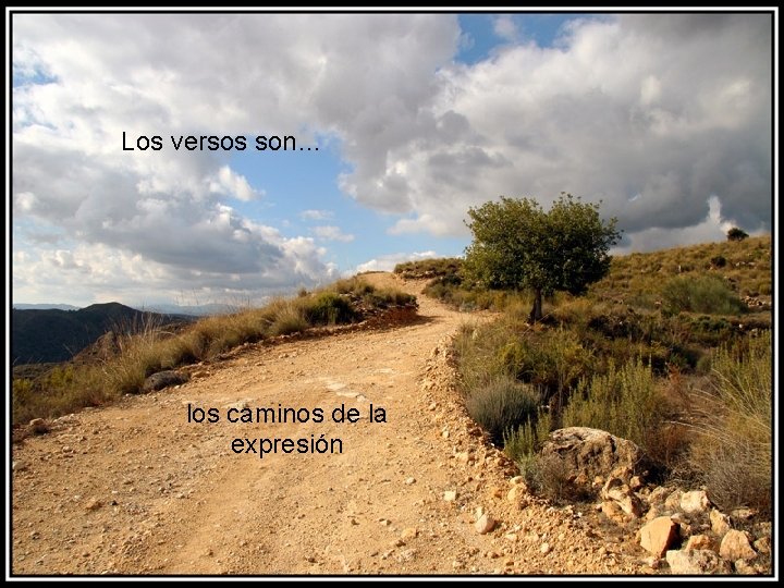 Los versos son… los caminos de la expresión 