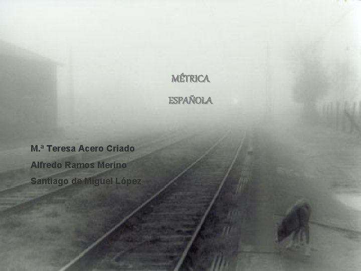 MÉTRICA ESPAÑOLA M. ª Teresa Acero Criado Alfredo Ramos Merino Santiago de Miguel López