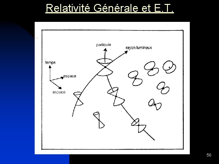 Relativité Générale et E. T. 56 