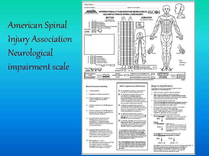 American Spinal Injury Association Neurological impairment scale 