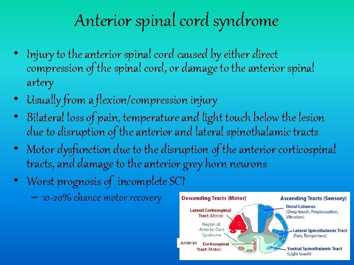 Anterior spinal cord syndrome • Injury to the anterior spinal cord caused by either