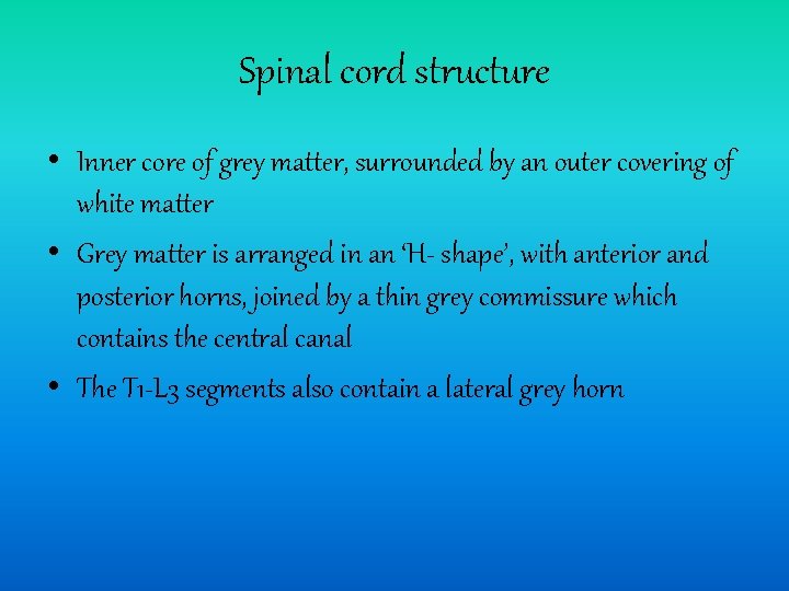 Spinal cord structure • Inner core of grey matter, surrounded by an outer covering