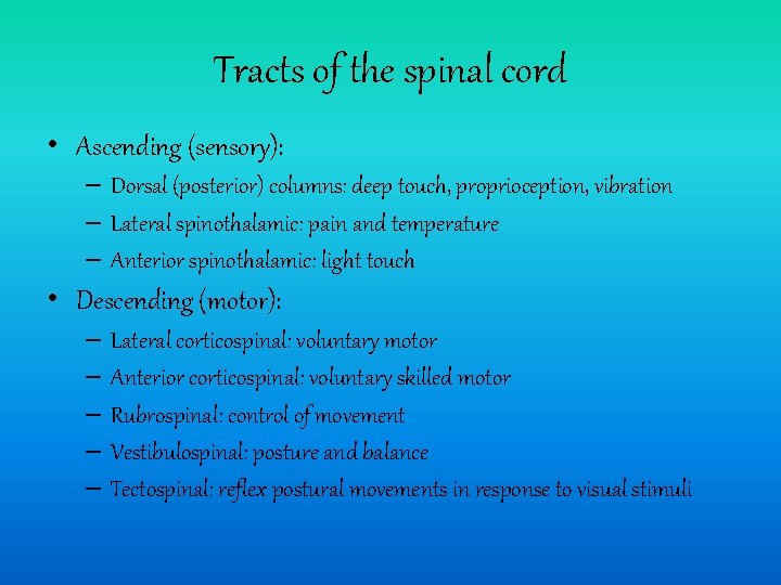 Tracts of the spinal cord • Ascending (sensory): – Dorsal (posterior) columns: deep touch,