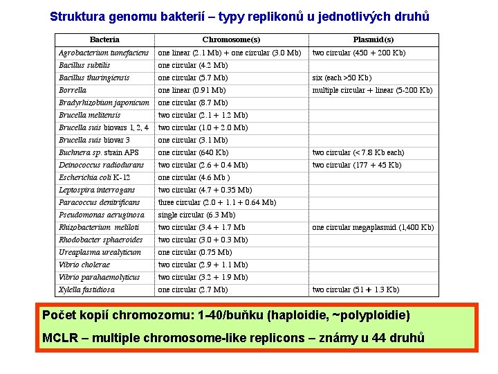 Struktura genomu bakterií – typy replikonů u jednotlivých druhů Počet kopií chromozomu: 1 -40/buňku