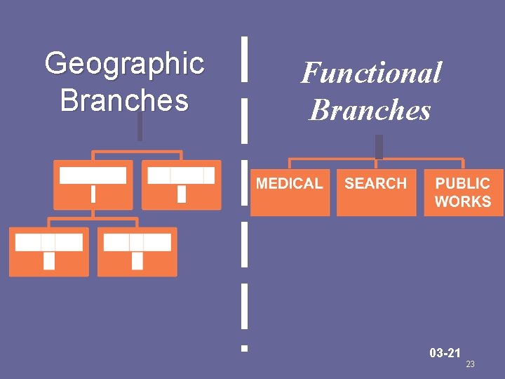 Geographic Branches Functional Branches 03 -21 23 