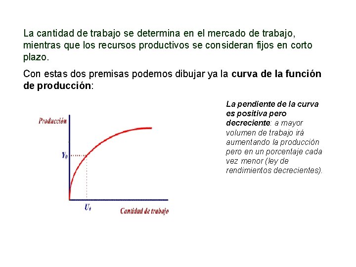 La cantidad de trabajo se determina en el mercado de trabajo, mientras que los La cantidad de trabajo se determina en el mercado de trabajo, mientras que los