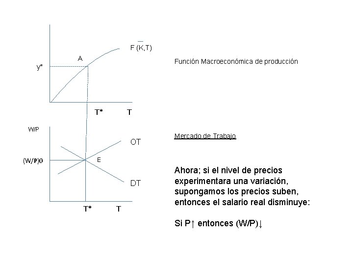 F (K, T) A Función Macroeconómica de producción y* T* T W/P OT (W/P)0 F (K, T) A Función Macroeconómica de producción y* T* T W/P OT (W/P)0