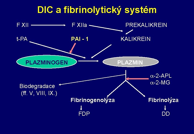 DIC a fibrinolytický systém F XIIa t-PA PAI - 1 PLAZMINOGEN PREKALIKREIN PLAZMIN a-2