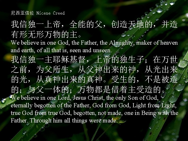 尼西亚信经 Nicene Creed 我信独一上帝，全能的父，创造天地的，并造 有形无形万物的主。 We believe in one God, the Father, the Almighty,