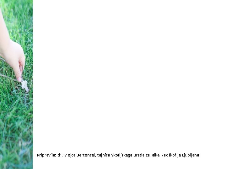 Pripravila: dr. Mojca Bertoncel, tajnica Škofijskega urada za laike Nadškofije Ljubljana 