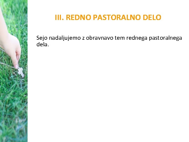 III. REDNO PASTORALNO DELO Sejo nadaljujemo z obravnavo tem rednega pastoralnega dela. 