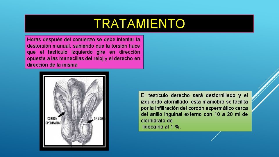 TRATAMIENTO Horas después del comienzo se debe intentar la destorsión manual, sabiendo que la