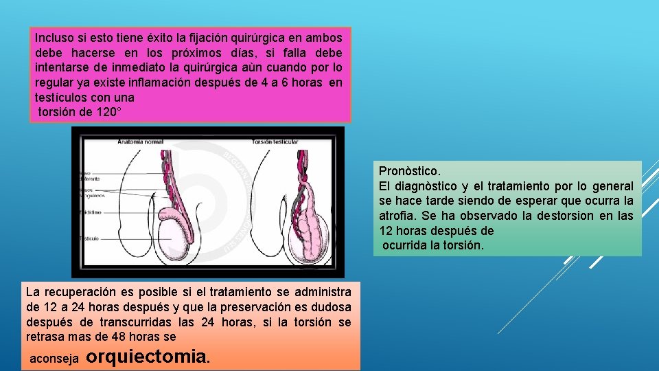 Incluso si esto tiene éxito la fijación quirúrgica en ambos debe hacerse en los