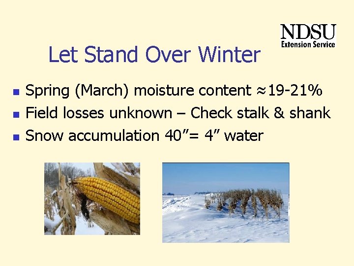 Let Stand Over Winter n n n Spring (March) moisture content ≈19 -21% Field Let Stand Over Winter n n n Spring (March) moisture content ≈19 -21% Field