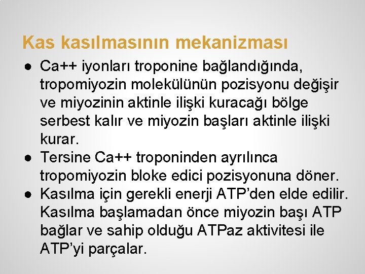 Kas kasılmasının mekanizması ● Ca++ iyonları troponine bağlandığında, tropomiyozin molekülünün pozisyonu değişir ve miyozinin