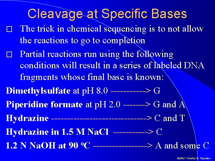 Cleavage at Specific Bases The trick in chemical sequencing is to not allow the