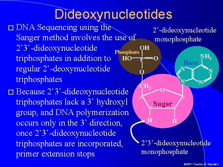 � DNA Dideoxynucleotides Sequencing using the 2’-dideoxynucleotide Sanger method involves the use of monophosphate