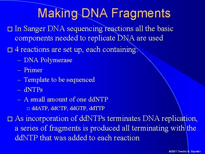 Making DNA Fragments � In Sanger DNA sequencing reactions all the basic components needed