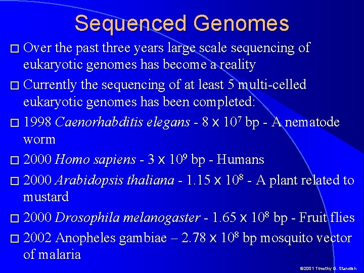 Sequenced Genomes � Over the past three years large scale sequencing of eukaryotic genomes