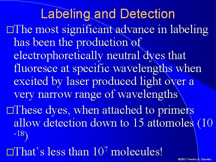 Labeling and Detection �The most significant advance in labeling has been the production of