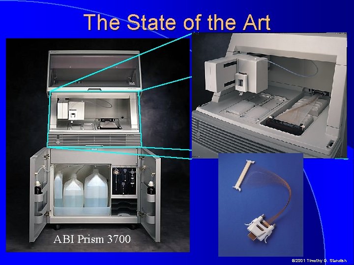 The State of the Art ABI Prism 3700 © 2001 Timothy G. Standish 