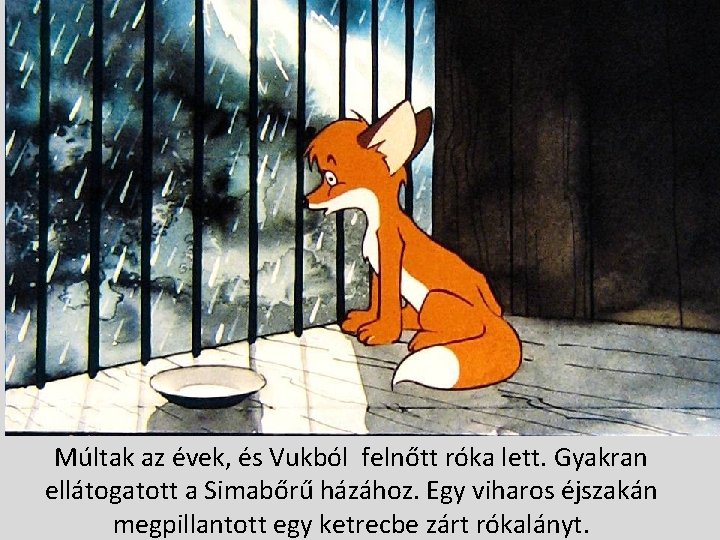 Múltak az évek, és Vukból felnőtt róka lett. Gyakran ellátogatott a Simabőrű házához. Egy