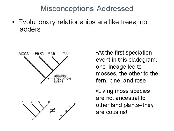 Misconceptions Addressed • Evolutionary relationships are like trees, not ladders • At the first