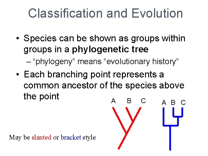 Classification and Evolution • Species can be shown as groups within groups in a