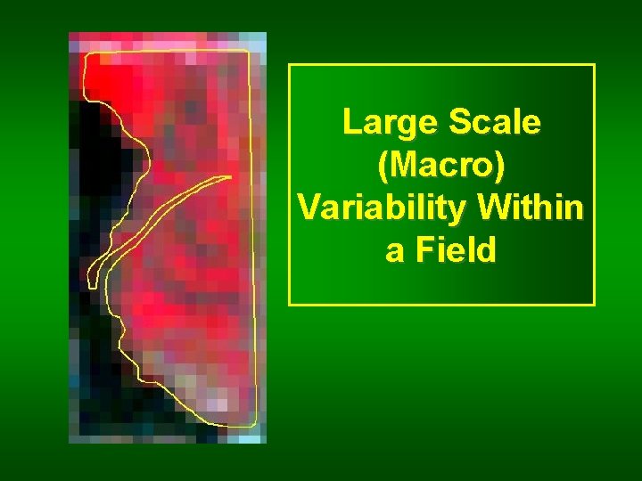 Large Scale (Macro) Variability Within a Field 