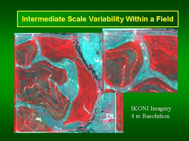 Intermediate Scale Variability Within a Field IKONI Imagery 4 m Resolution 