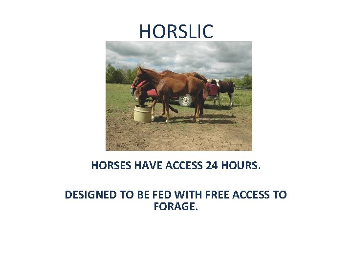 HORSLIC HORSES HAVE ACCESS 24 HOURS. DESIGNED TO BE FED WITH FREE ACCESS TO