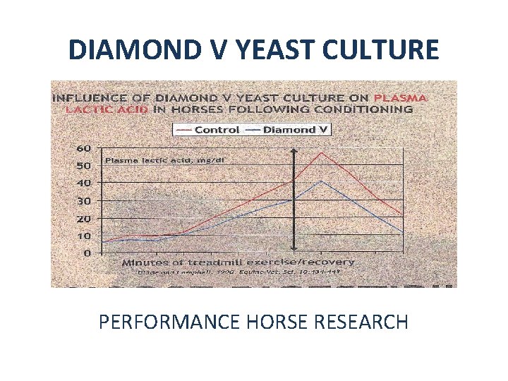 DIAMOND V YEAST CULTURE PERFORMANCE HORSE RESEARCH 