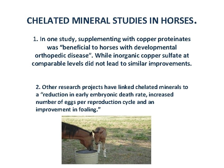 CHELATED MINERAL STUDIES IN HORSES. 1. In one study, supplementing with copper proteinates was