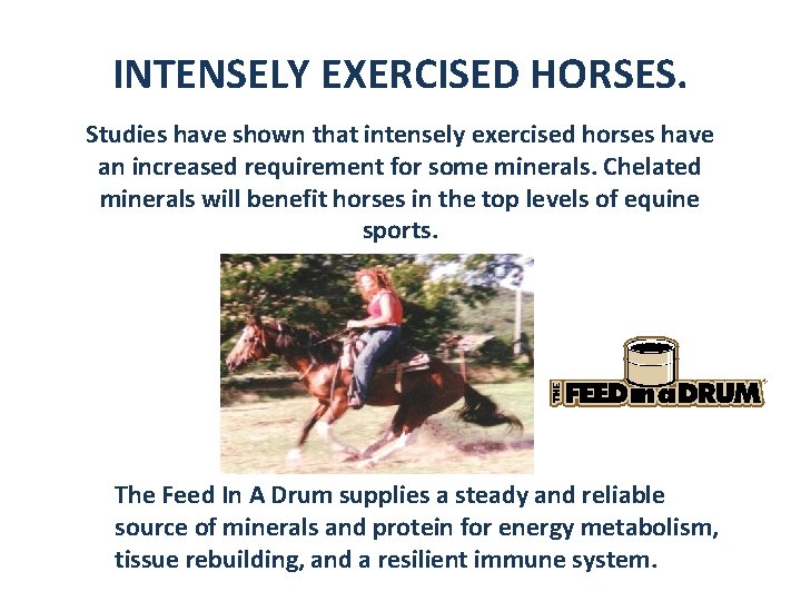 INTENSELY EXERCISED HORSES. Studies have shown that intensely exercised horses have an increased requirement