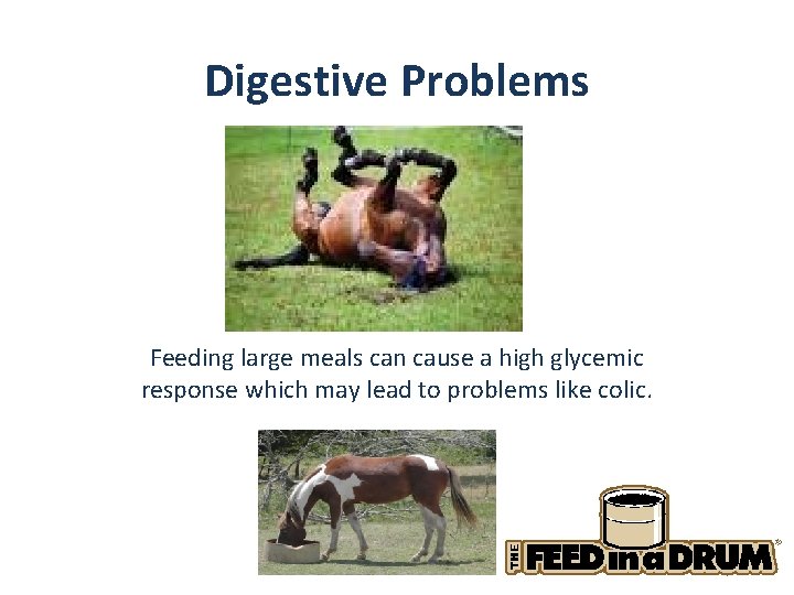 Digestive Problems Feeding large meals can cause a high glycemic response which may lead