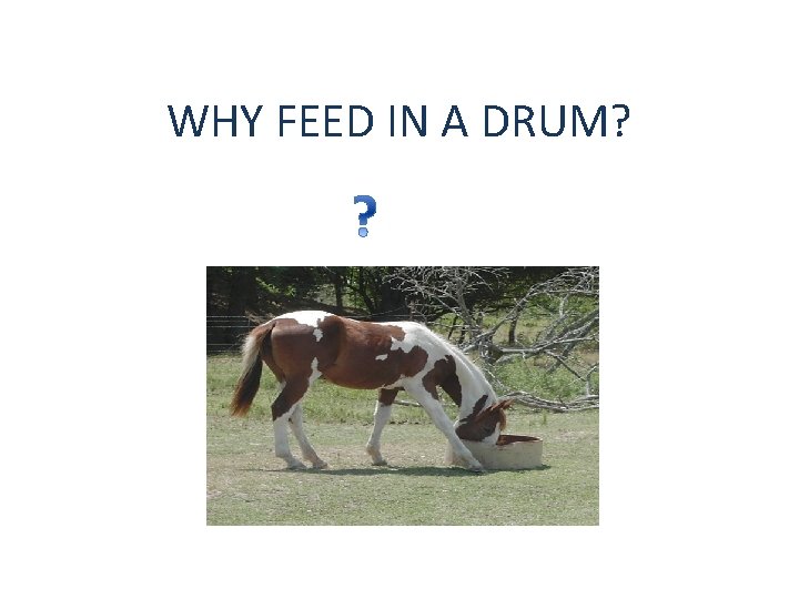 WHY FEED IN A DRUM? 