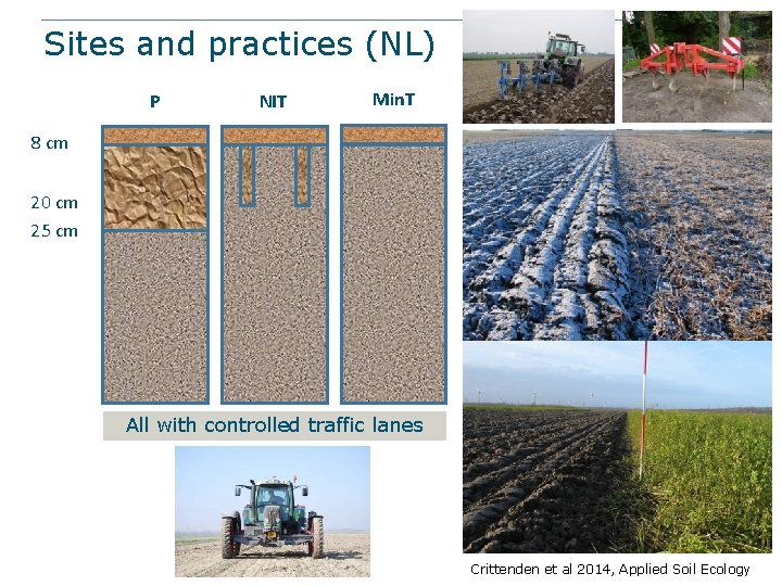 Sites and practices (NL) P NIT Min. T 8 cm 20 cm 25 cm