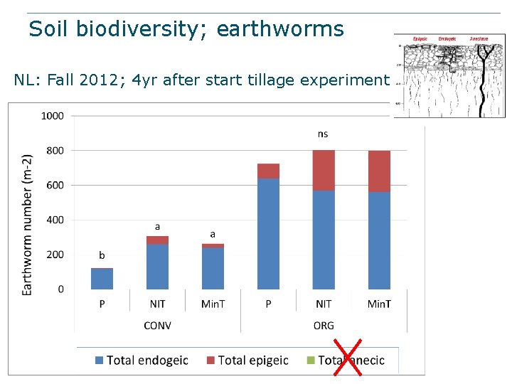 Soil biodiversity; earthworms NL: Fall 2012; 4 yr after start tillage experiment 