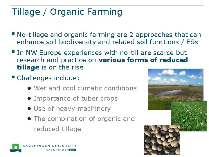 Tillage / Organic Farming § No-tillage and organic farming are 2 approaches that can