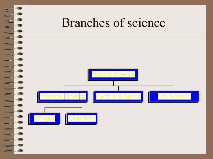 Branches of science 