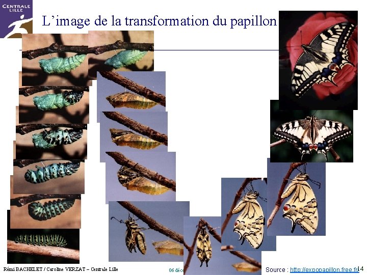 L’image de la transformation du papillon Rémi BACHELET / Caroline VERZAT – Centrale Lille