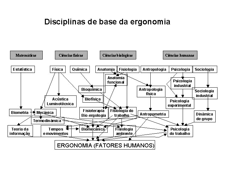 Disciplinas de base da ergonomia Matemáticas Estatística Ciências físicas Física Ciências biológicas Química Anatomia