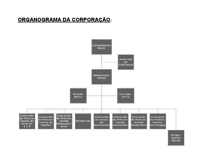 ORGANOGRAMA DA CORPORAÇÃO: 