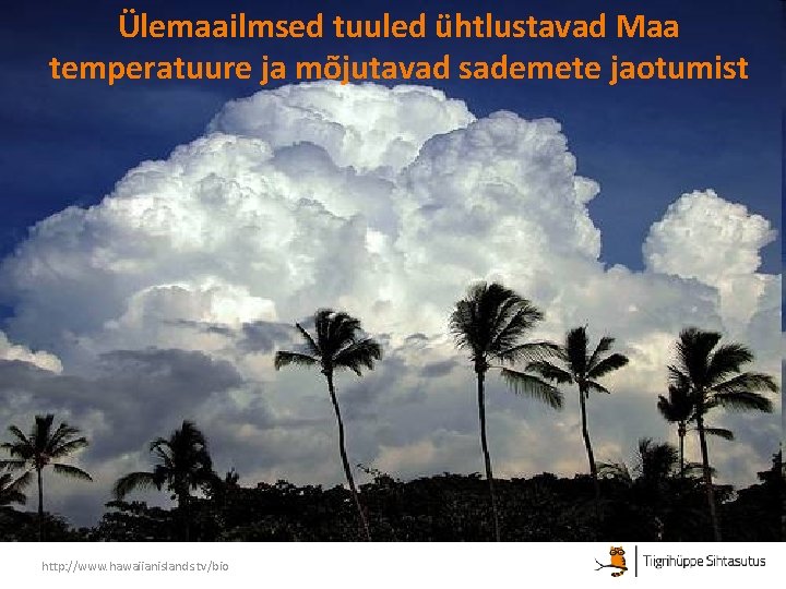 Ülemaailmsed tuuled ühtlustavad Maa temperatuure ja mõjutavad sademete jaotumist http: //www. hawaiianislands. tv/bio 