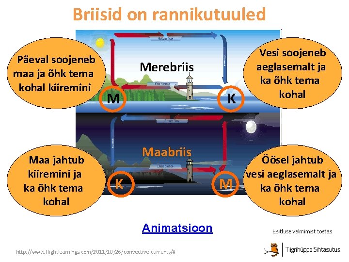 Briisid on rannikutuuled Päeval soojeneb maa ja õhk tema kohal kiiremini Maa jahtub kiiremini