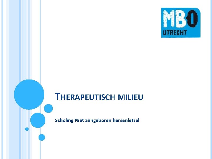 THERAPEUTISCH MILIEU Scholing Niet aangeboren hersenletsel 
