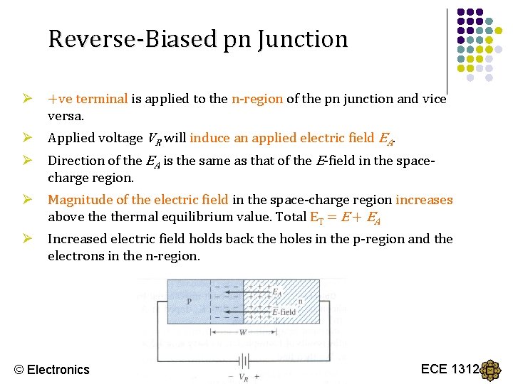 Reverse-Biased pn Junction Ø +ve terminal is applied to the n-region of the pn