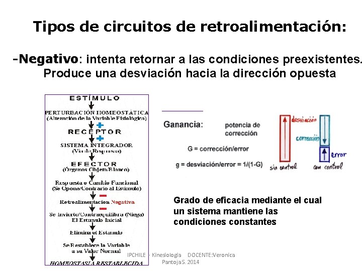 Tipos de circuitos de retroalimentación: -Negativo: intenta retornar a las condiciones preexistentes. Produce una