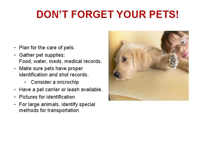 DON’T FORGET YOUR PETS! • Plan for the care of pets. • Gather pet