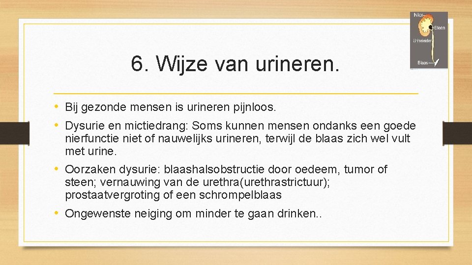 6. Wijze van urineren. • Bij gezonde mensen is urineren pijnloos. • Dysurie en